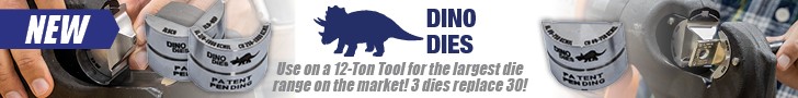 Introducing Our New Dino Dies!