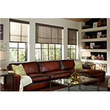 Help Customers Control Lighting with Motorized Shades and Blinds