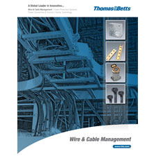 This Month's Smart eCat Features: Thomas & Betts - Steel City